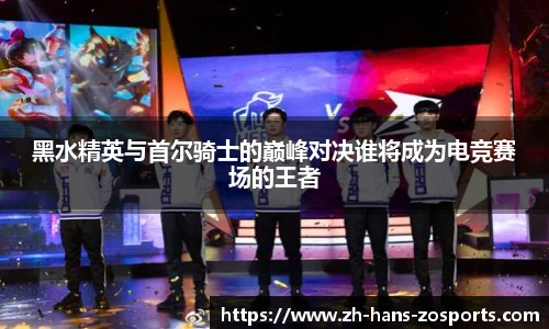 黑水精英与首尔骑士的巅峰对决谁将成为电竞赛场的王者